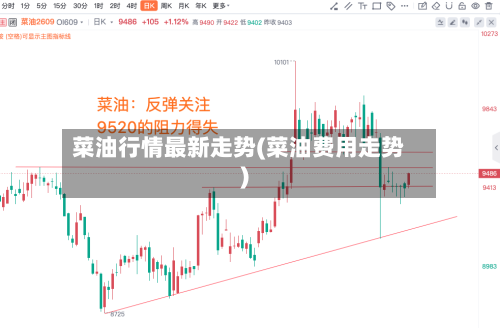 菜油行情最新走势(菜油费用走势)