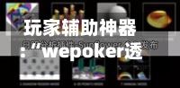 玩家辅助神器:“wepoker透视挂的优势”详细分享装挂-第3张图片
