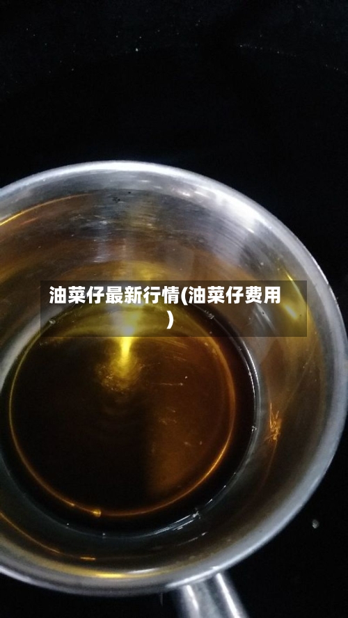 油菜仔最新行情(油菜仔费用)