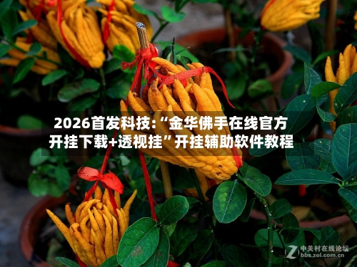 2026首发科技:“金华佛手在线官方开挂下载+透视挂”开挂辅助软件教程-第1张图片