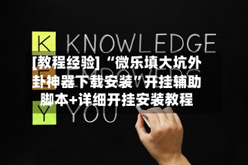 [教程经验] “微乐填大坑外卦神器下载安装”开挂辅助脚本+详细开挂安装教程-第3张图片