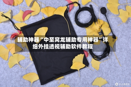 辅助神器“中至窝龙辅助专用神器”详细外挂透视辅助软件教程-第2张图片