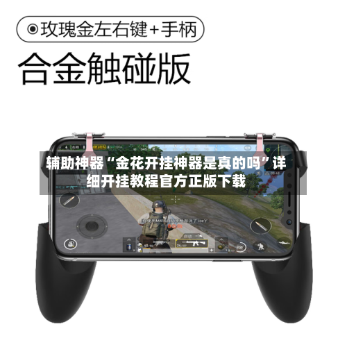 辅助神器“金花开挂神器是真的吗”详细开挂教程官方正版下载