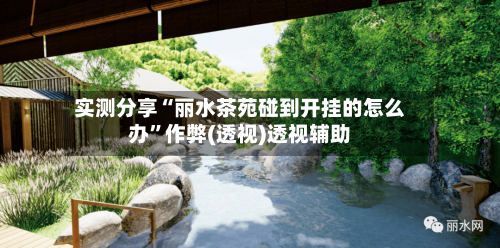 实测分享“丽水茶苑碰到开挂的怎么办”作弊(透视)透视辅助-第3张图片