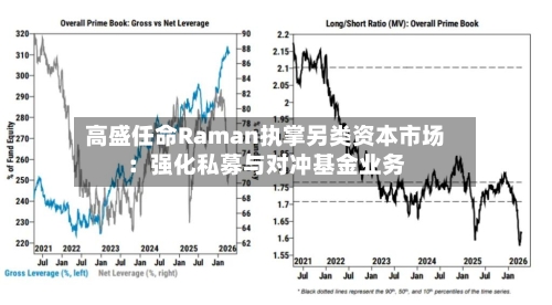 高盛任命Raman执掌另类资本市场：强化私募与对冲基金业务-第3张图片