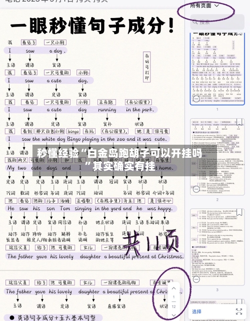 秒懂经验“白金岛跑胡子可以开挂吗”其实确实有挂-第2张图片