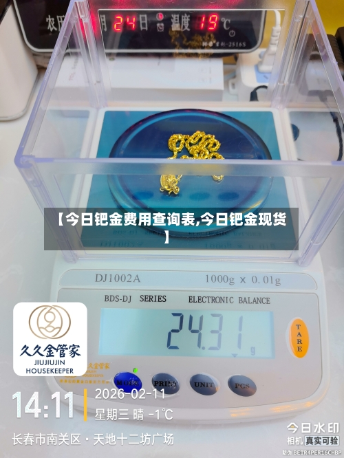 【今日钯金费用查询表,今日钯金现货】-第3张图片