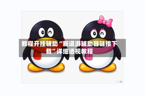 教程开挂辅助“新道游辅助器链接下载”详细透视教程-第3张图片