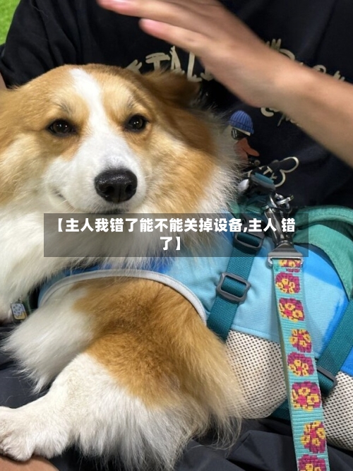 【主人我错了能不能关掉设备,主人 错了】