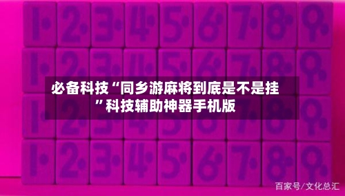 必备科技“同乡游麻将到底是不是挂”科技辅助神器手机版-第3张图片