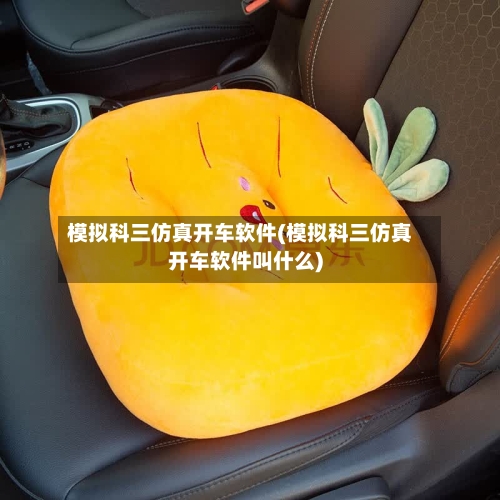 模拟科三仿真开车软件(模拟科三仿真开车软件叫什么)