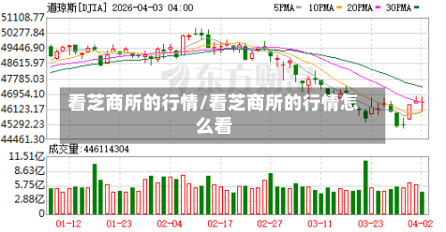 看芝商所的行情/看芝商所的行情怎么看