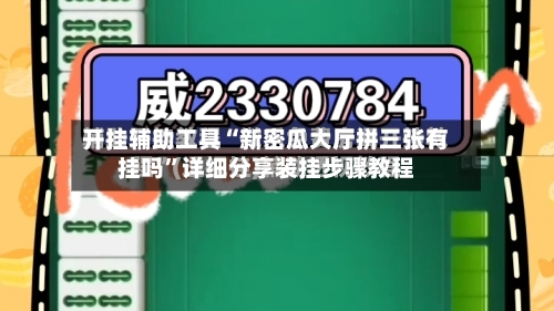开挂辅助工具“新密瓜大厅拼三张有挂吗”详细分享装挂步骤教程-第2张图片