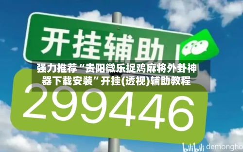 强力推荐“贵阳微乐捉鸡麻将外卦神器下载安装	”开挂(透视)辅助教程-第3张图片