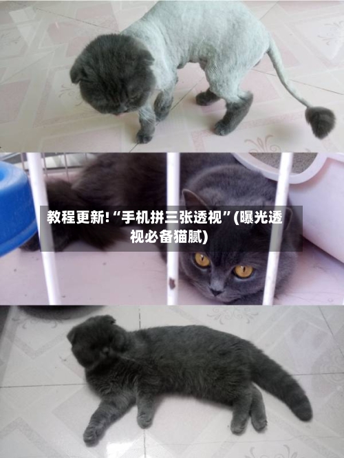 教程更新!“手机拼三张透视”(曝光透视必备猫腻)-第2张图片