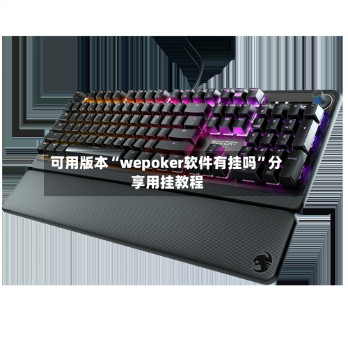 可用版本“wepoker软件有挂吗”分享用挂教程-第2张图片