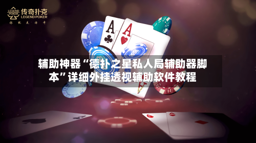 辅助神器“德扑之星私人局辅助器脚本”详细外挂透视辅助软件教程