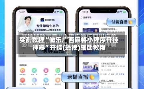 实测教程“微乐广西麻将小程序开挂神器”开挂(透视)辅助教程-第3张图片
