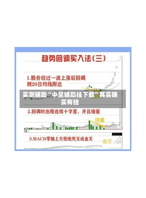 实测辅助“中至辅助挂下载”其实确实有挂-第3张图片