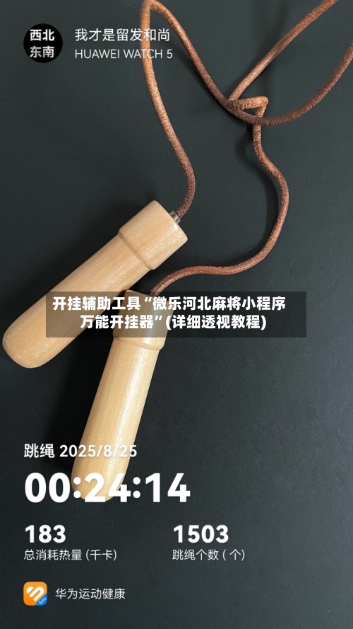 开挂辅助工具“微乐河北麻将小程序万能开挂器”(详细透视教程)-第2张图片