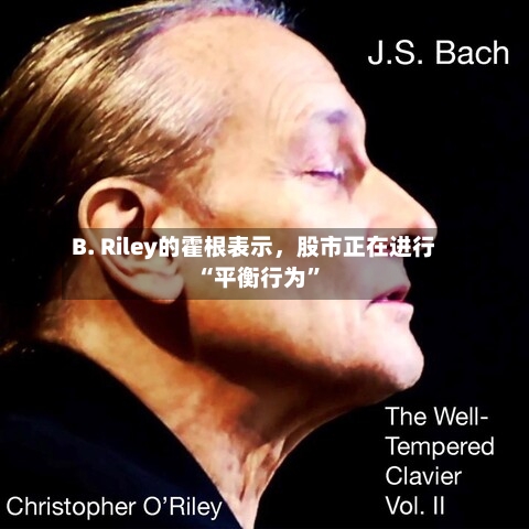 B. Riley的霍根表示，股市正在进行“平衡行为”