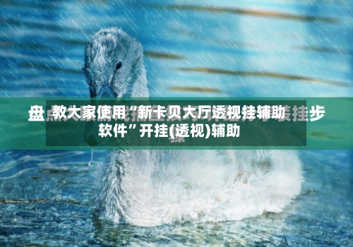 教大家使用“新卡贝大厅透视挂辅助软件”开挂(透视)辅助