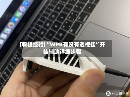[教程经验]“WPK有没有透视挂”开挂辅助详细步骤-第2张图片