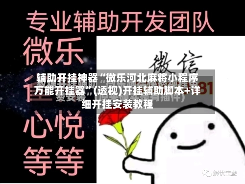 辅助开挂神器“微乐河北麻将小程序万能开挂器”(透视)开挂辅助脚本+详细开挂安装教程-第3张图片