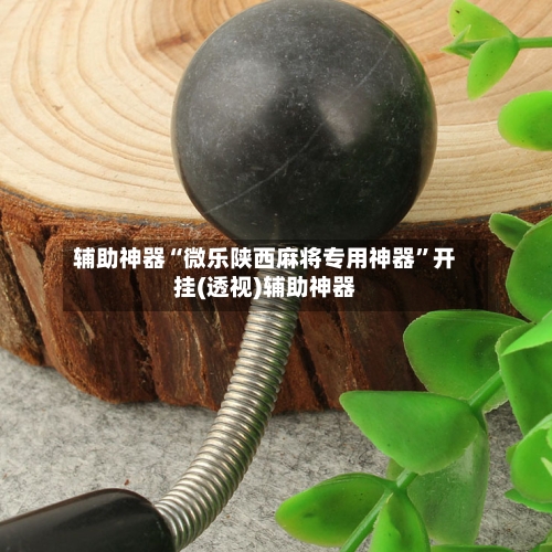 辅助神器“微乐陕西麻将专用神器”开挂(透视)辅助神器-第2张图片