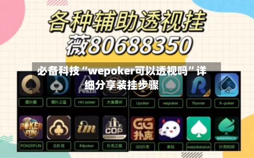 必备科技“wepoker可以透视吗”详细分享装挂步骤-第2张图片