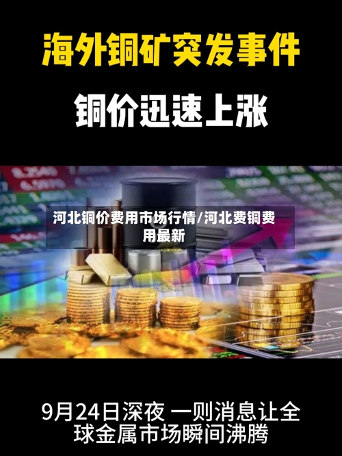 河北铜价费用市场行情/河北费铜费用最新