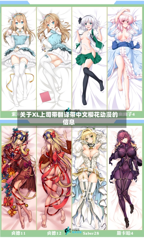 关于XL上司带翻译带中文樱花动漫的信息