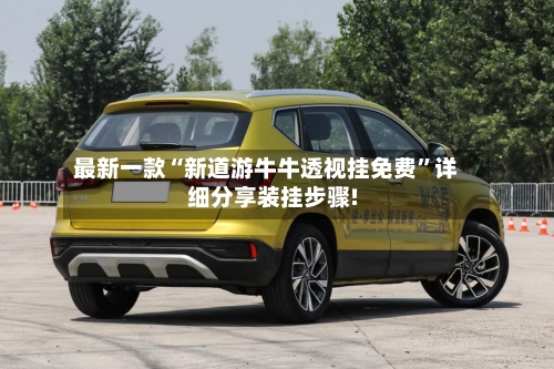 最新一款“新道游牛牛透视挂免费”详细分享装挂步骤!