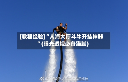 [教程经验]“人海大厅斗牛开挂神器”(曝光透视必备猫腻)-第3张图片