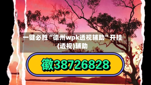 一键必胜“德州wpk透视辅助”开挂(透视)辅助-第3张图片