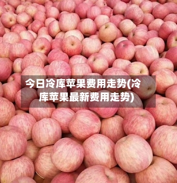 今日冷库苹果费用走势(冷库苹果最新费用走势)