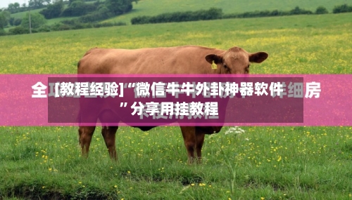 [教程经验]“微信牛牛外卦神器软件”分享用挂教程-第2张图片