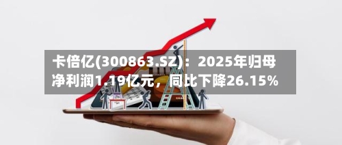卡倍亿(300863.SZ)：2025年归母净利润1.19亿元，同比下降26.15%