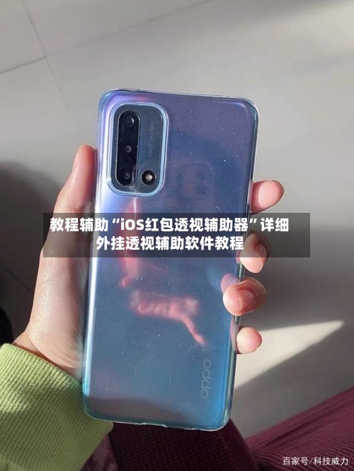 教程辅助“iOS红包透视辅助器”详细外挂透视辅助软件教程-第2张图片