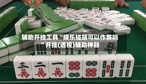 辅助开挂工具“娱乐碰胡可以作弊吗	”开挂(透视)辅助神器-第3张图片