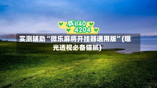 实测辅助“微乐麻将开挂器通用版”(曝光透视必备猫腻)