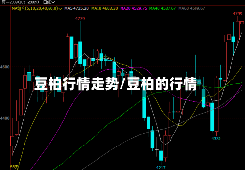 豆柏行情走势/豆柏的行情-第2张图片