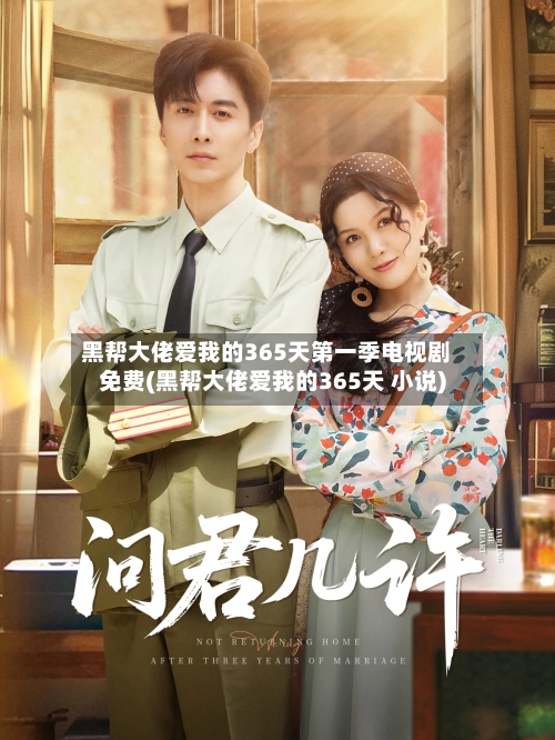 黑帮大佬爱我的365天第一季电视剧免费(黑帮大佬爱我的365天 小说)-第2张图片