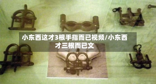 小东西这才3根手指而已视频/小东西才三根而已文-第3张图片