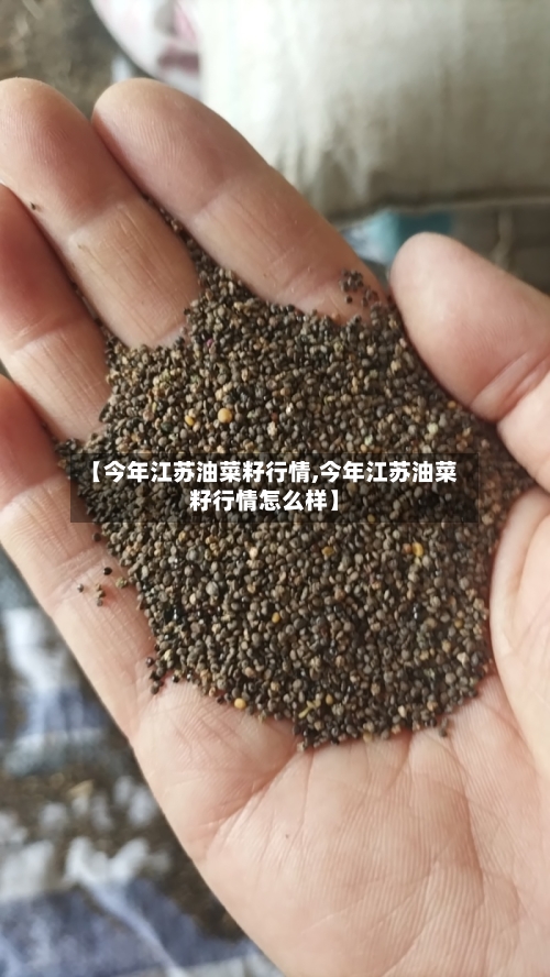 【今年江苏油菜籽行情,今年江苏油菜籽行情怎么样】-第2张图片