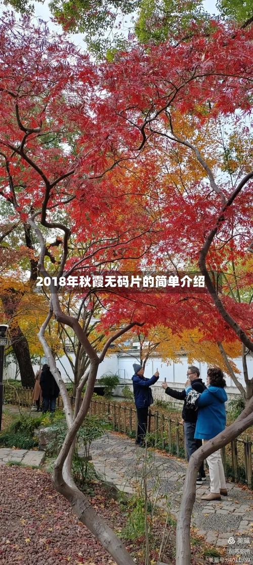2018年秋霞无码片的简单介绍