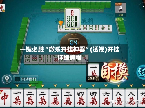 一键必胜“微乐开挂神器”(透视)开挂详细教程-第2张图片