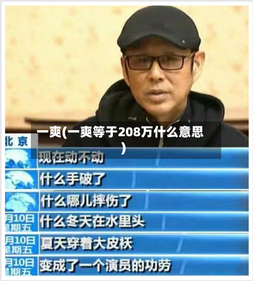 一爽(一爽等于208万什么意思)