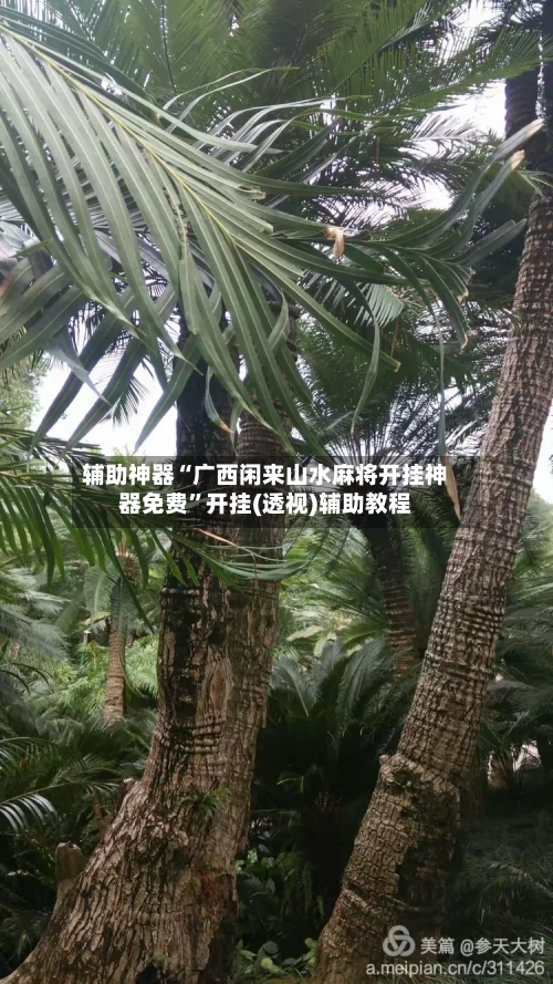 辅助神器“广西闲来山水麻将开挂神器免费”开挂(透视)辅助教程