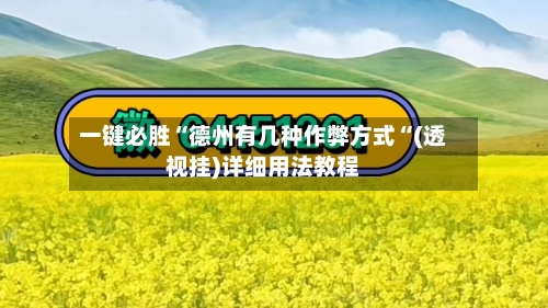 一键必胜“德州有几种作弊方式“(透视挂)详细用法教程-第2张图片